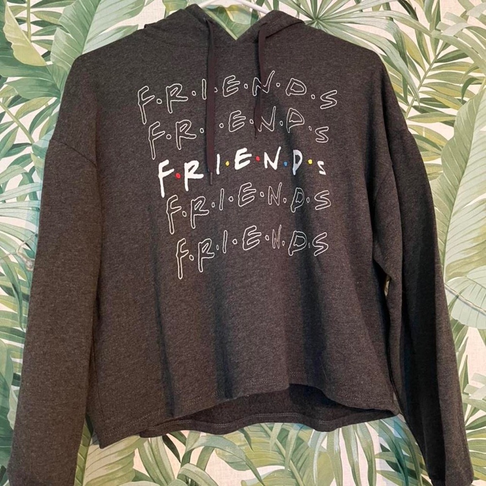 F.R.I.E.N.D.S cropped hoodie🩶